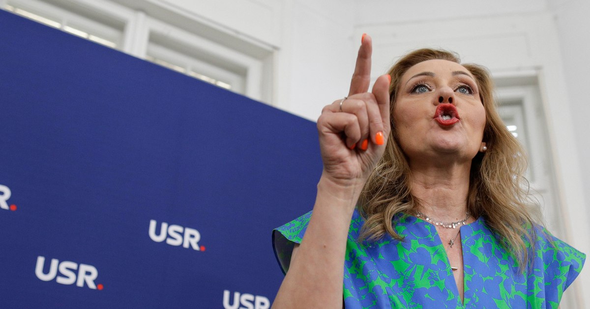 Elena Lasconi: Adevărul despre anularea alegerilor trebuie să iasă la lumină