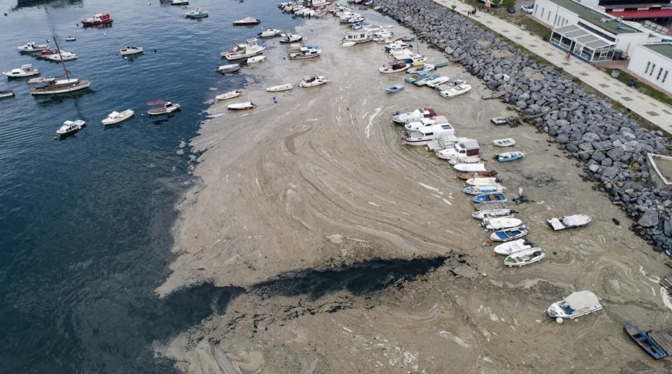 Mucii de mare acoperă ca o pătură apele Mării Marmara din sudul Turciiei FOTO EPA-EFE
