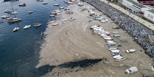 Mucii de mare acoperă ca o pătură apele Mării Marmara din sudul Turciiei FOTO EPA-EFE
