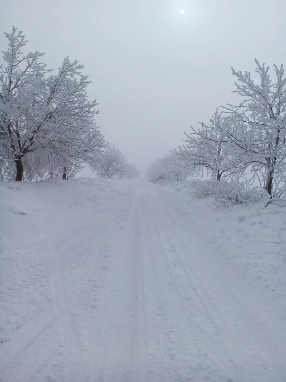 Decembrie, luna în care începe iarna Foto:Arhivă Adevărul