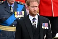 harry GettyImages jpg