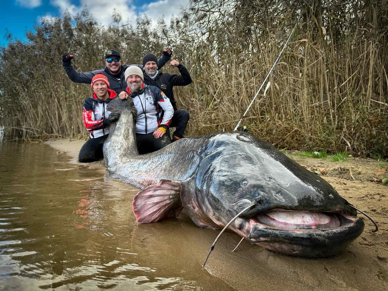 „Un adevărat monstru”. Cel mai mare somn pescuit la undiță a fost prins de doi polonezi