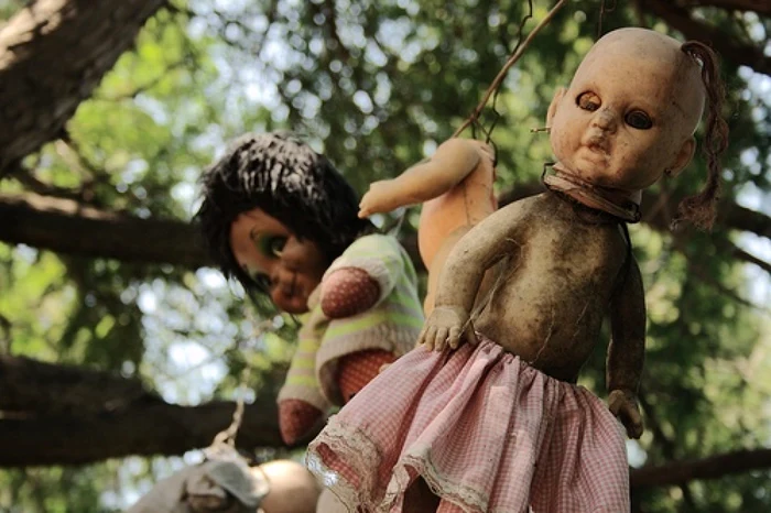 Mii de păpuşi mutilate sunt răspândite pe insula bântuită din Mexic FOTOGRAFII www.planetoddity.com