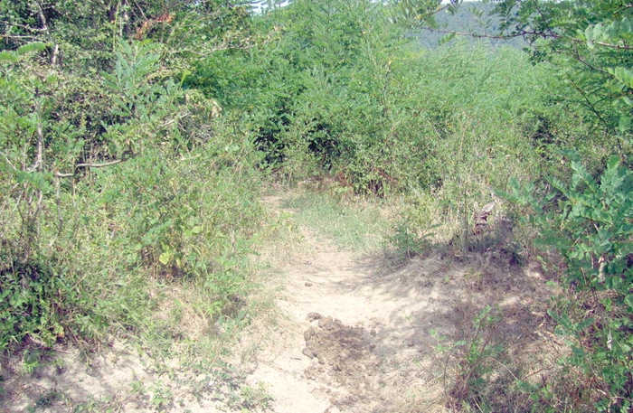 Aici au zăcut timp de două luni cadavrele celor doi