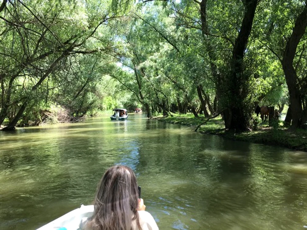 
    Plimbarea pe canale durează 3 ore  