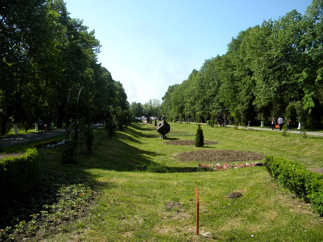 parc bucov