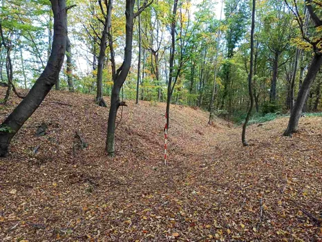 Foto: Facebook / Vasile Diaconu - archaeologist