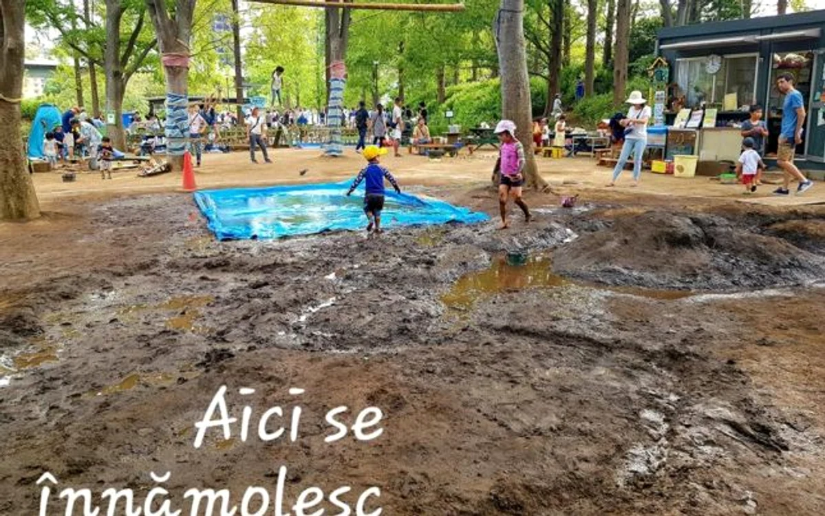 Parcurile de aventuri din Tokyo - Japonia Foto Arhiva personală Alexandra Lopotaru