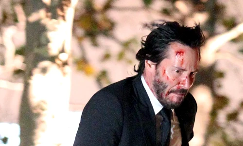 FFN IMAGE 51913087|FFN SET 70000653 jpeg