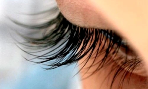 1 74429 original jpg jpeg