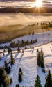 Bucovina  sursa foto   Shutterstock jpg