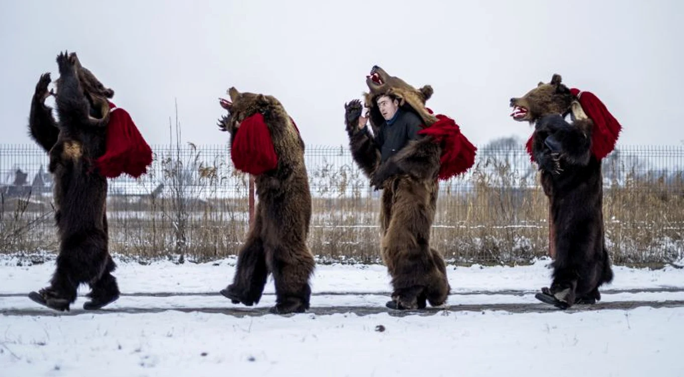 
    Imaginile au fost surprinse de o fotografă pe jumătate româncăfoto: Diana Zeyneb Alhindawi  