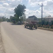 cosula botosani jfif