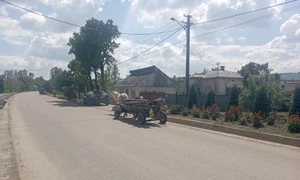 cosula botosani jfif