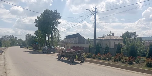 cosula botosani jfif