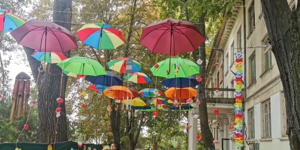 gradina senzoriala fundatia inima de copil