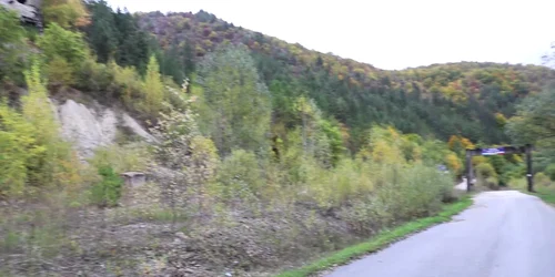 6165a0d45163ec42714ab50b jpg