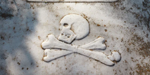 rip fb0027f3f14c3116e2eeda71127bb849 jpg