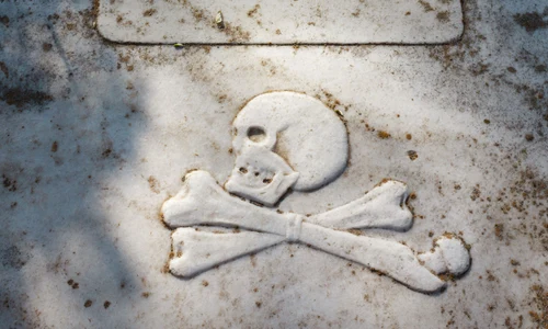 rip fb0027f3f14c3116e2eeda71127bb849 jpg
