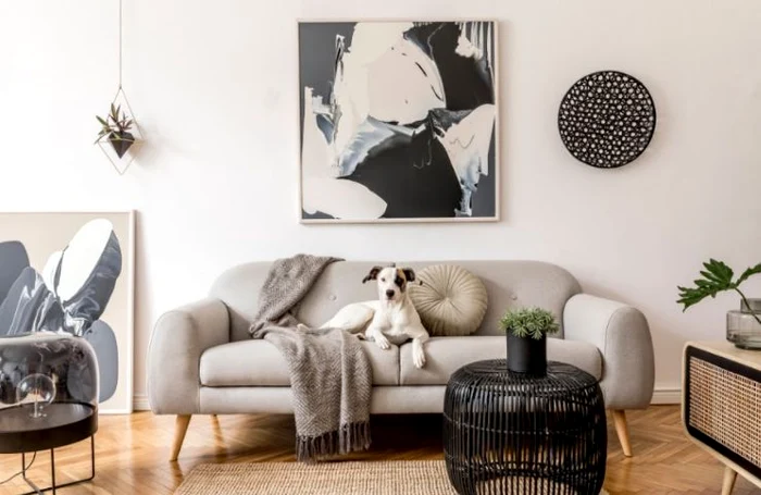 Este esențial să alegem o canapea care să fie confortabilă și rezistentă, dar și plăcută privirii.Sursă foto: Followtheflow/ Shutterstock