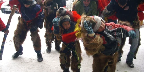 Băcăuanii deghizați în urși pot fi văzuți pe străzile din oraș