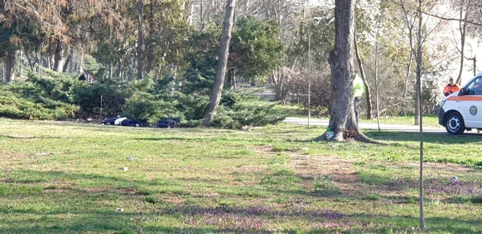 Persoană decedată în Parcul Botanic din Timişoara