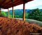 cetatea dacică costesti foto daniel guta adevarul