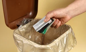 carduri, foto shutterstock jpg