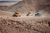 4 cheloo raliul dakar mihai ban reusita romaneasca premiera in automobilism au terminat cursa din arabia saudita 3 jpg jpeg