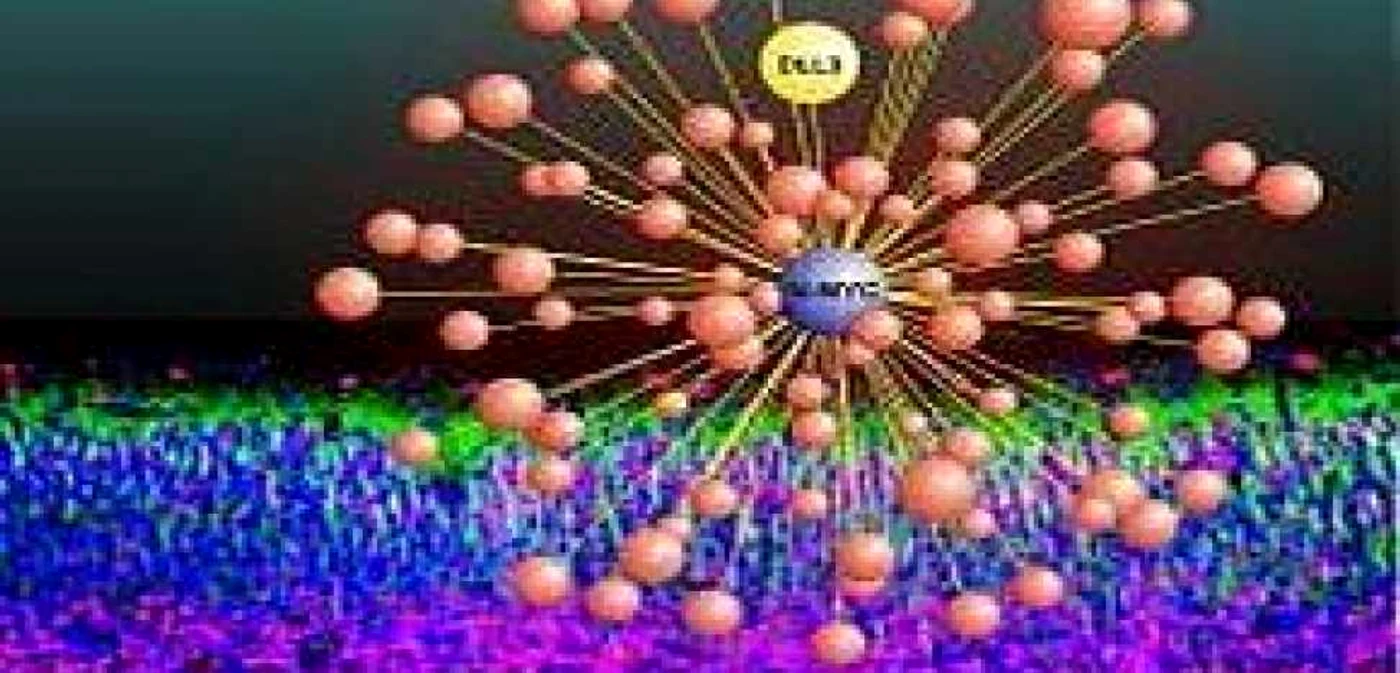Doi cercetători italieni au descoperit remediul cancerului cerebral în SUA