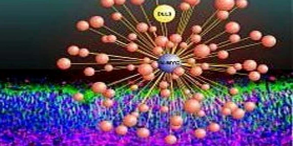 Doi cercetători italieni au descoperit remediul cancerului cerebral în SUA