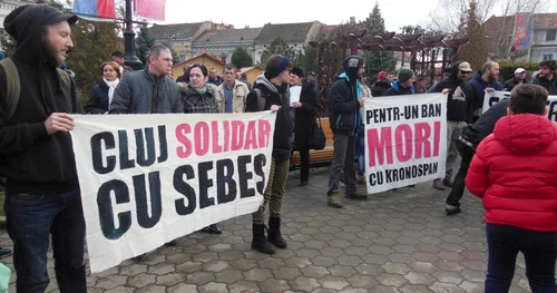 protest sebes alba