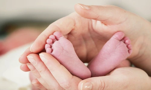 1 77533 original jpg jpeg