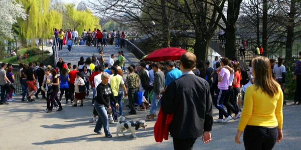 Parc