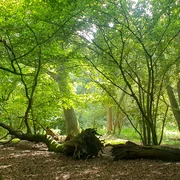 456614037 10233705396406154 3574259700944271434 n jpg