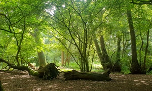 456614037 10233705396406154 3574259700944271434 n jpg