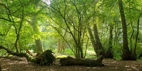 456614037 10233705396406154 3574259700944271434 n jpg