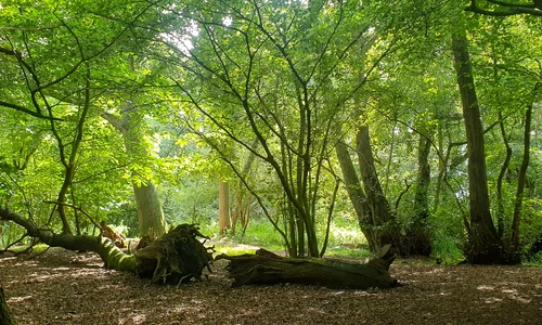 456614037 10233705396406154 3574259700944271434 n jpg