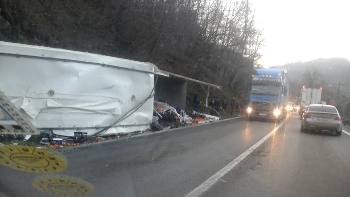 Localnicii au inceput sa adune portocalele inainte ca politistii sa plece de la locul accidentului. Foto Mircea Lera