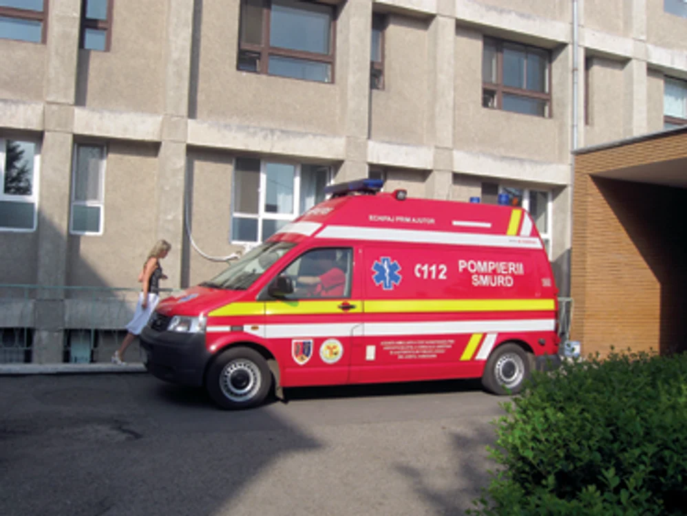 Hunedoara: ORAŞUL PE SCURT / Cal căzut de pe podeţ