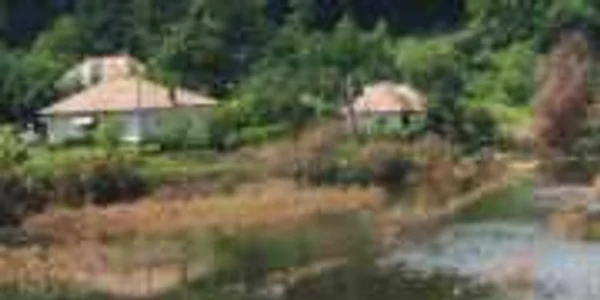 Saramura a ajuns lângă casele sinistraţilor din Cosota