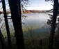 Lacul Cinciș, malul acoperit de pădure Foto Daniel Guță ADEVĂRUL (10) jpg