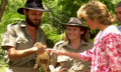 1 lady diana pui de crocodil ferma de crocodili din darwin 1988 jpg jpeg
