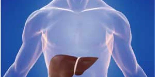 Medicover: Încărcarea grasă a ficatului. Steatoza hepatică, ficatul gras