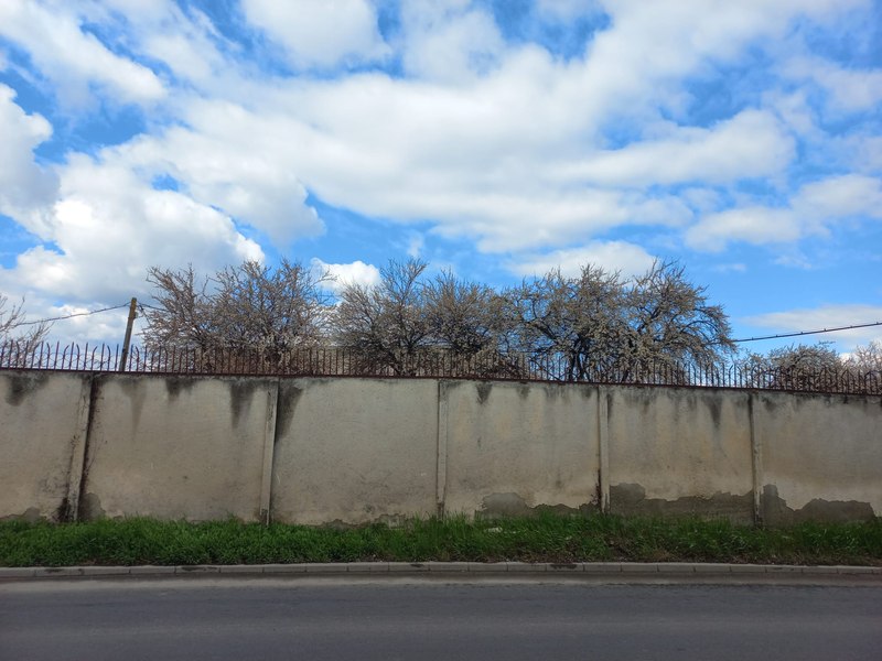 Premieră la Brașov: pomii au înflorit mult mai devreme decât de obicei. Cum explică specialiștii fenomenul
