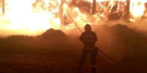 5a455719d7af743f8dd1e417 jpg