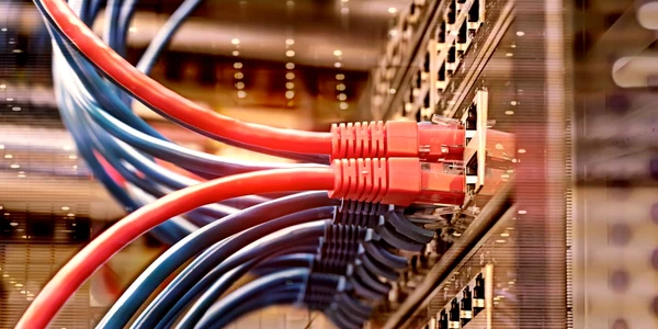 server internet conexiune foto shutterstock