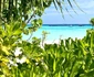 31 andreea banica sexy in maldive lucian mitrea 3 jpg jpeg