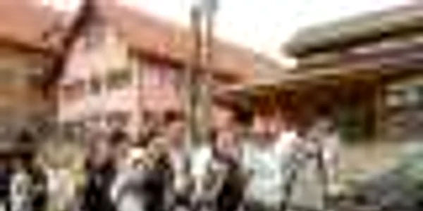Parada costumelor populare a fost unul dintre punctele de atracţie ale festivalului,anul trecut