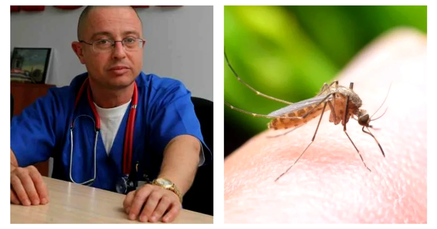 Trei cazuri de infecție cu virusul West Nile au fost confirmate. FOTO: Arhivă